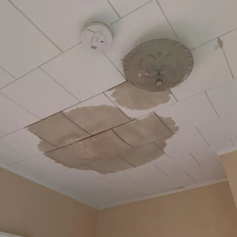 Ceiling Water Damage Repair in Nobles County, MN